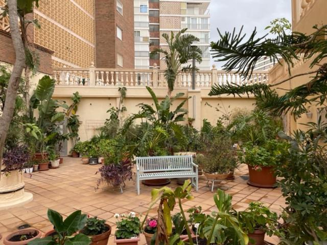 Precioso Apartamento A Estrenar En Primera Linea De Playa Benidorm Kültér fotó